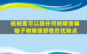 桔树是可以跟任何树嫁接嘛 柚子树嫁接脐橙的优缺点